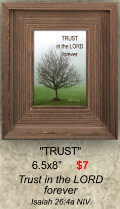 6-Trust-TT web.jpg